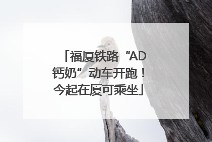 福厦铁路“AD钙奶”动车开跑！今起在厦可乘坐