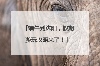 端午到沈阳，假期游玩攻略来了！