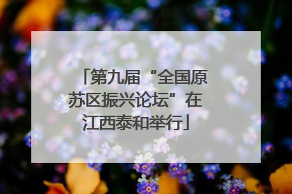 第九届“全国原苏区振兴论坛”在江西泰和举行
