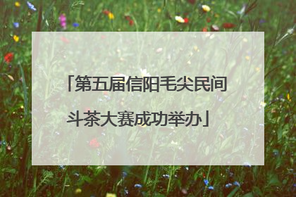 第五届信阳毛尖民间斗茶大赛成功举办