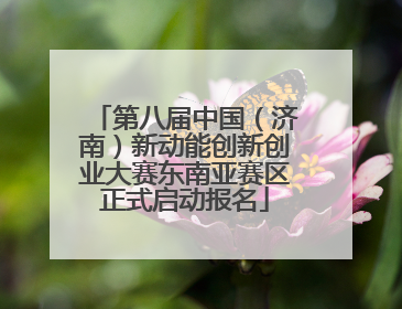 第八届中国（济南）新动能创新创业大赛东南亚赛区正式启动报名