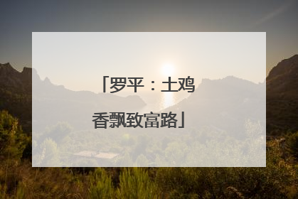 罗平：土鸡香飘致富路