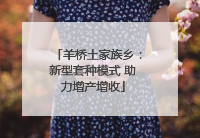 羊桥土家族乡：新型套种模式 助力增产增收