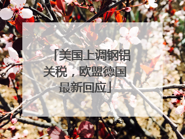 美国上调钢铝关税，欧盟德国最新回应
