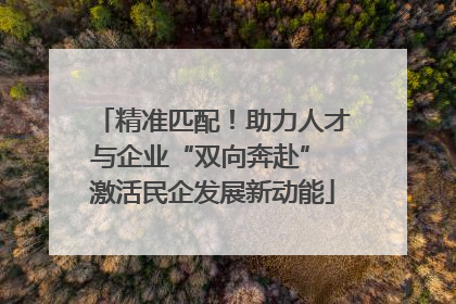 精准匹配！助力人才与企业“双向奔赴” 激活民企发展新动能