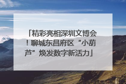 精彩亮相深圳文博会！聊城东昌府区“小葫芦”焕发数字新活力