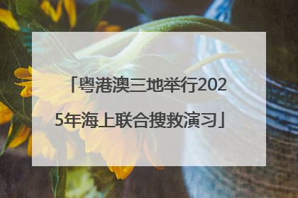 粤港澳三地举行2025年海上联合搜救演习