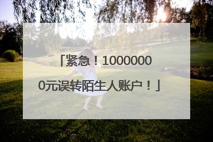紧急！10000000元误转陌生人账户！
