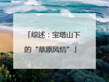 综述：宝塔山下的“草原风情”