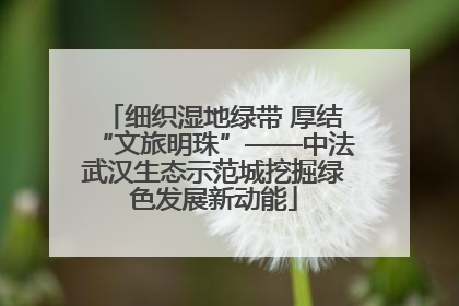 细织湿地绿带 厚结“文旅明珠”——中法武汉生态示范城挖掘绿色发展新动能
