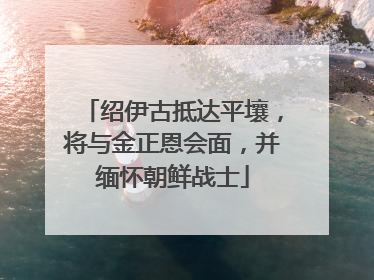 绍伊古抵达平壤，将与金正恩会面，并缅怀朝鲜战士