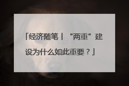 经济随笔丨“两重”建设为什么如此重要？