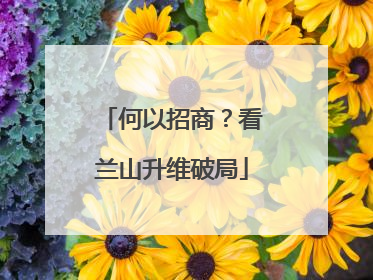 何以招商？看兰山升维破局