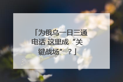 为俄乌一日三通电话 这里成“关键战场”？