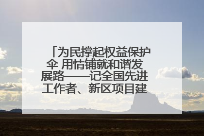 为民撑起权益保护伞 用情铺就和谐发展路——记全国先进工作者、新区项目建设中心干部卢小勇