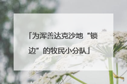 为浑善达克沙地“锁边”的牧民小分队
