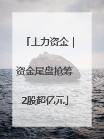 主力资金｜资金尾盘抢筹2股超亿元