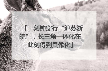 一刻钟穿行“沪苏浙皖”，长三角一体化在此刻得到具像化
