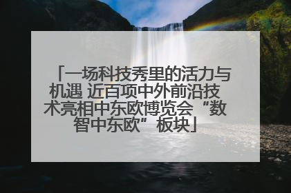 一场科技秀里的活力与机遇 近百项中外前沿技术亮相中东欧博览会“数智中东欧”板块