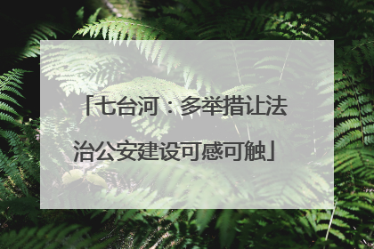 七台河：多举措让法治公安建设可感可触