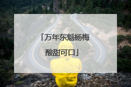 万年东魁杨梅 酸甜可口