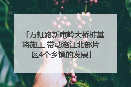 万虹路新庵岭大桥桩基将施工 带动洛江北部片区4个乡镇的发展