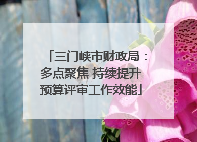 三门峡市财政局：多点聚焦 持续提升预算评审工作效能