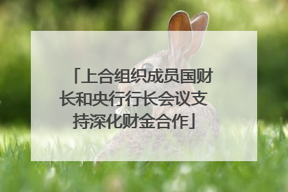 上合组织成员国财长和央行行长会议支持深化财金合作