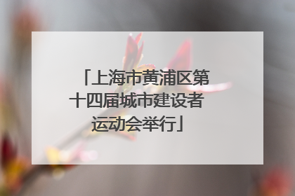 上海市黄浦区第十四届城市建设者运动会举行