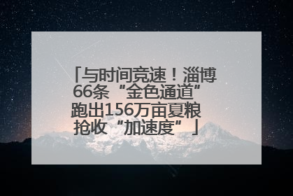 与时间竞速！淄博66条“金色通道”跑出156万亩夏粮抢收“加速度”