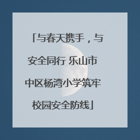 与春天携手，与安全同行 乐山市中区杨湾小学筑牢校园安全防线