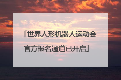 世界人形机器人运动会官方报名通道已开启