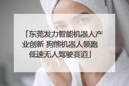 东莞发力智能机器人产业创新 狗熊机器人领跑低速无人驾驶赛道