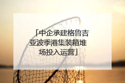 中企承建格鲁吉亚波季港集装箱堆场投入运营