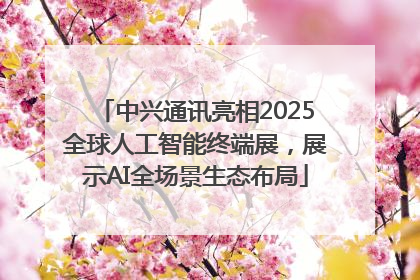 中兴通讯亮相2025全球人工智能终端展，展示AI全场景生态布局