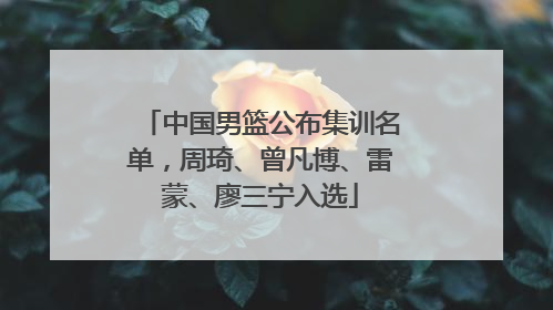 中国男篮公布集训名单，周琦、曾凡博、雷蒙、廖三宁入选