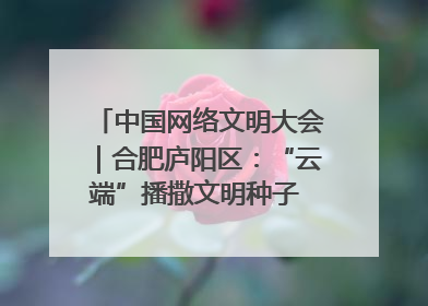 中国网络文明大会｜合肥庐阳区：“云端”播撒文明种子 共建清朗网络空间