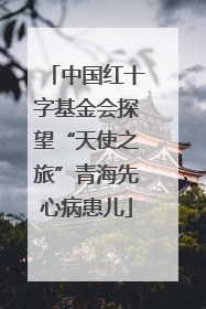 中国红十字基金会探望“天使之旅”青海先心病患儿