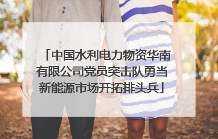 中国水利电力物资华南有限公司党员突击队勇当新能源市场开拓排头兵