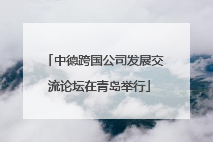 中德跨国公司发展交流论坛在青岛举行