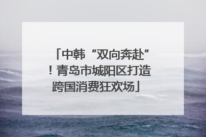 中韩“双向奔赴”！青岛市城阳区打造跨国消费狂欢场