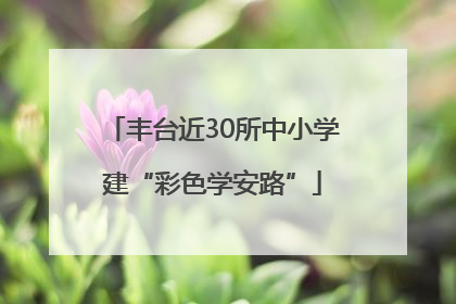 丰台近30所中小学建“彩色学安路”