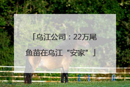 乌江公司：22万尾鱼苗在乌江“安家”