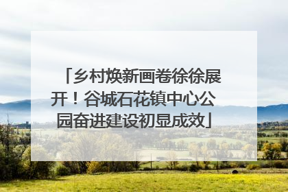 乡村焕新画卷徐徐展开！谷城石花镇中心公园奋进建设初显成效