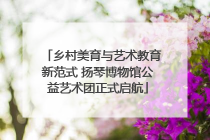 乡村美育与艺术教育新范式 扬琴博物馆公益艺术团正式启航