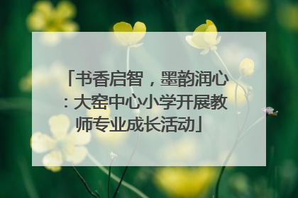 书香启智，墨韵润心：大窑中心小学开展教师专业成长活动