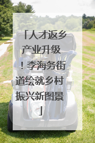人才返乡 产业升级！李海务街道绘就乡村振兴新图景