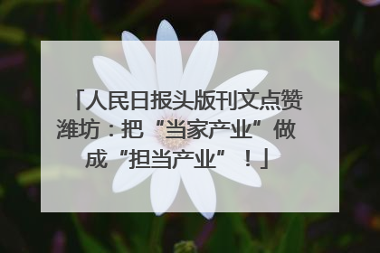 人民日报头版刊文点赞潍坊：把“当家产业”做成“担当产业”！
