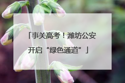 事关高考！潍坊公安开启“绿色通道”