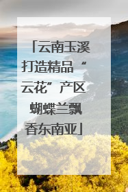 云南玉溪打造精品“云花”产区 蝴蝶兰飘香东南亚